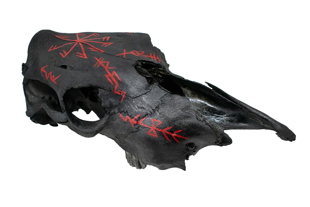 connection to the gods & deity bindrunes blackened cow skull