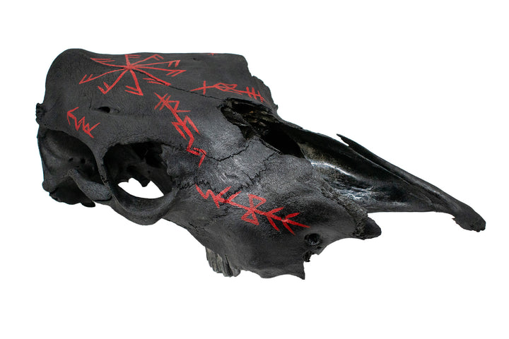 connection to the gods & deity bindrunes blackened cow skull