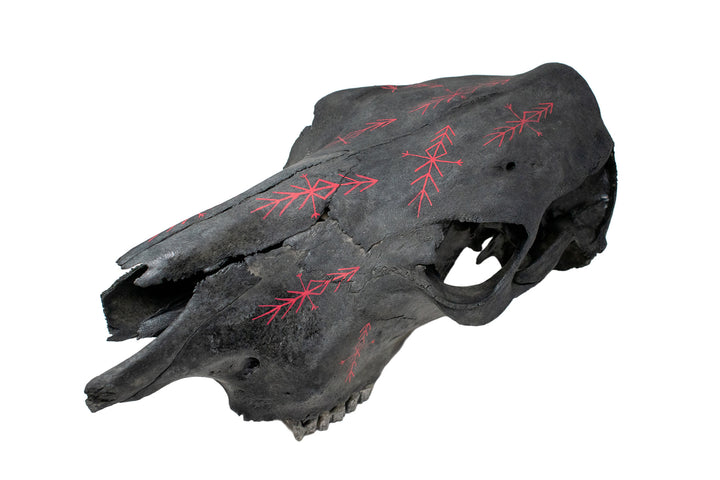 home protection bindrunes blackened cow skull