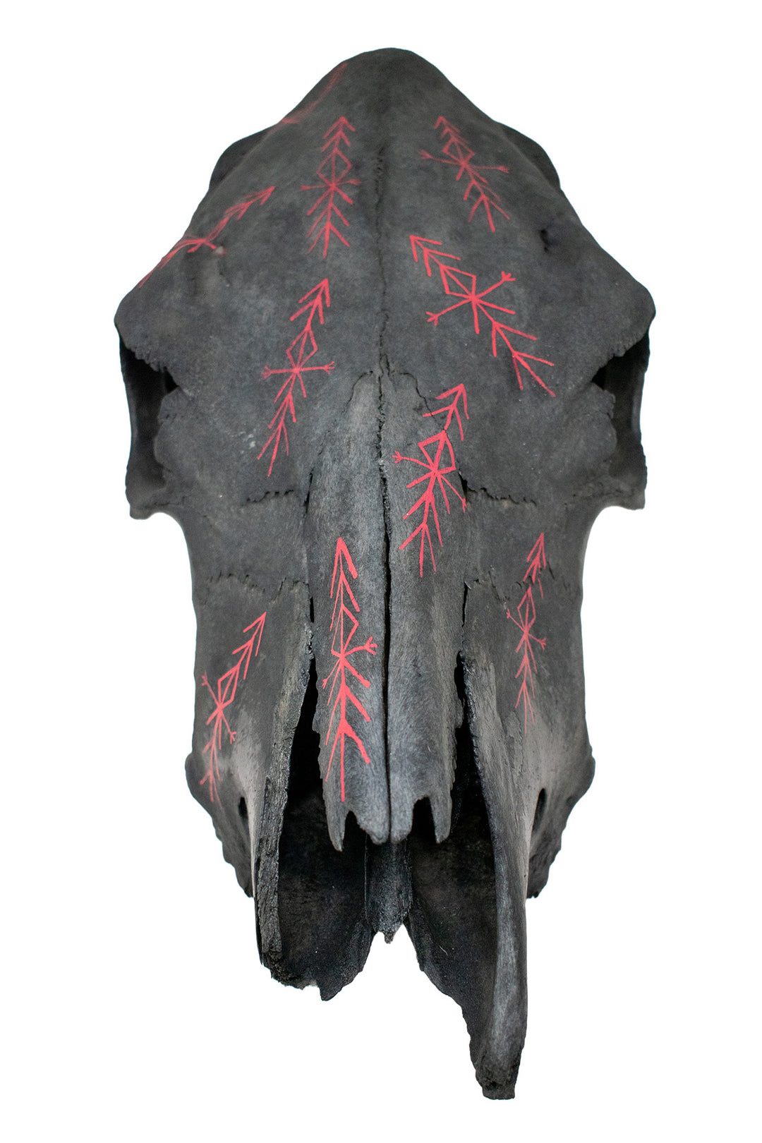 home protection bindrunes blackened cow skull