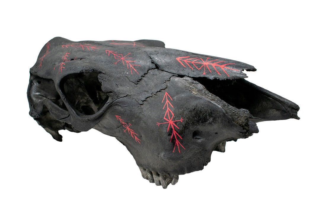 home protection bindrunes blackened cow skull