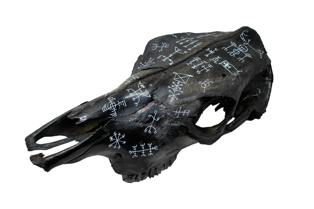 icelandic magical staves blackened cow skull