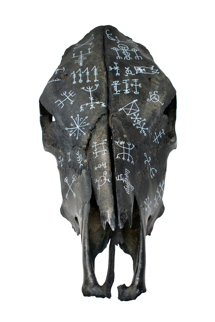 icelandic magical staves blackened cow skull