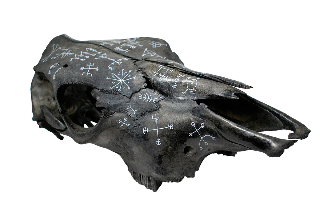 icelandic magical staves blackened cow skull
