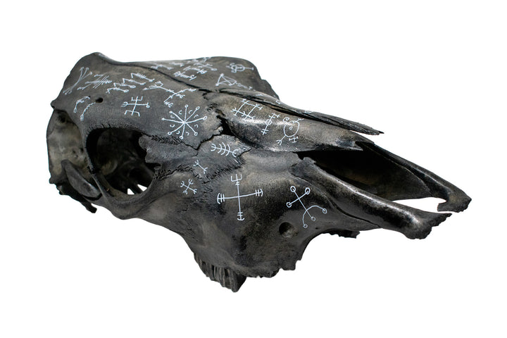 icelandic magical staves blackened cow skull