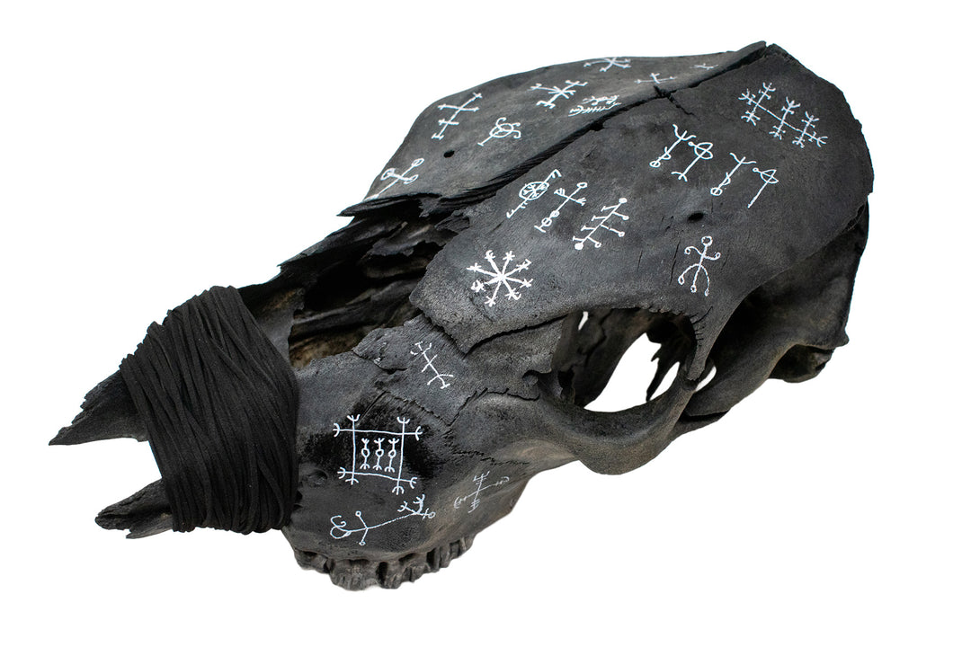icelandic magical staves blackened cow skull - leather wrapped