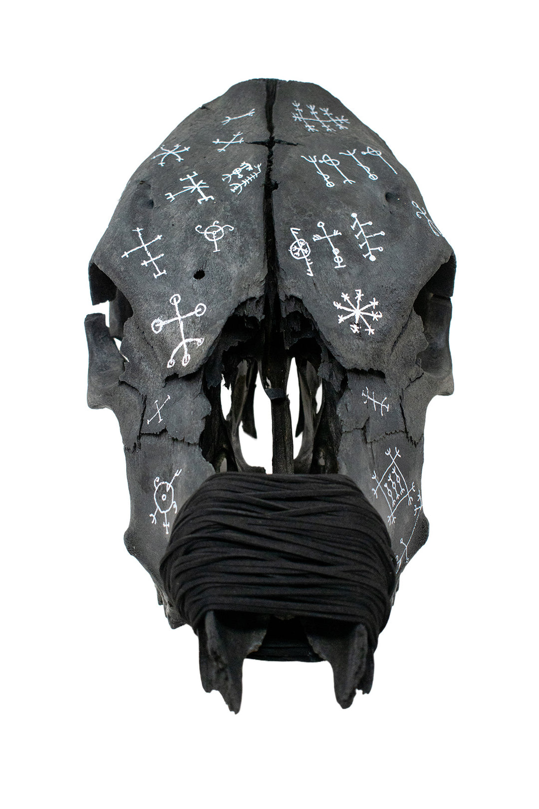 icelandic magical staves blackened cow skull - leather wrapped