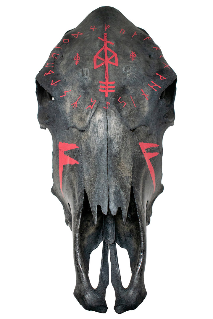 odin bindrune and ansuz runes blackened cow skull