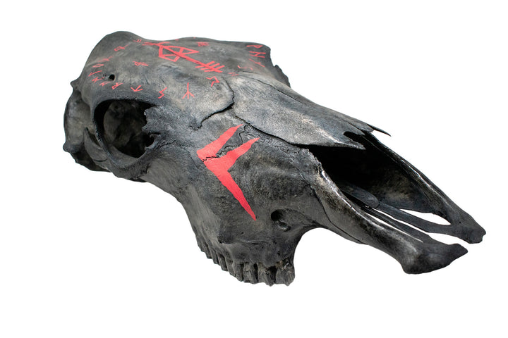 odin bindrune and ansuz runes blackened cow skull