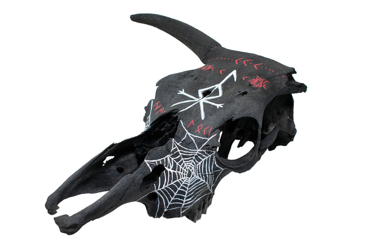loki bindrune blackened cow skull