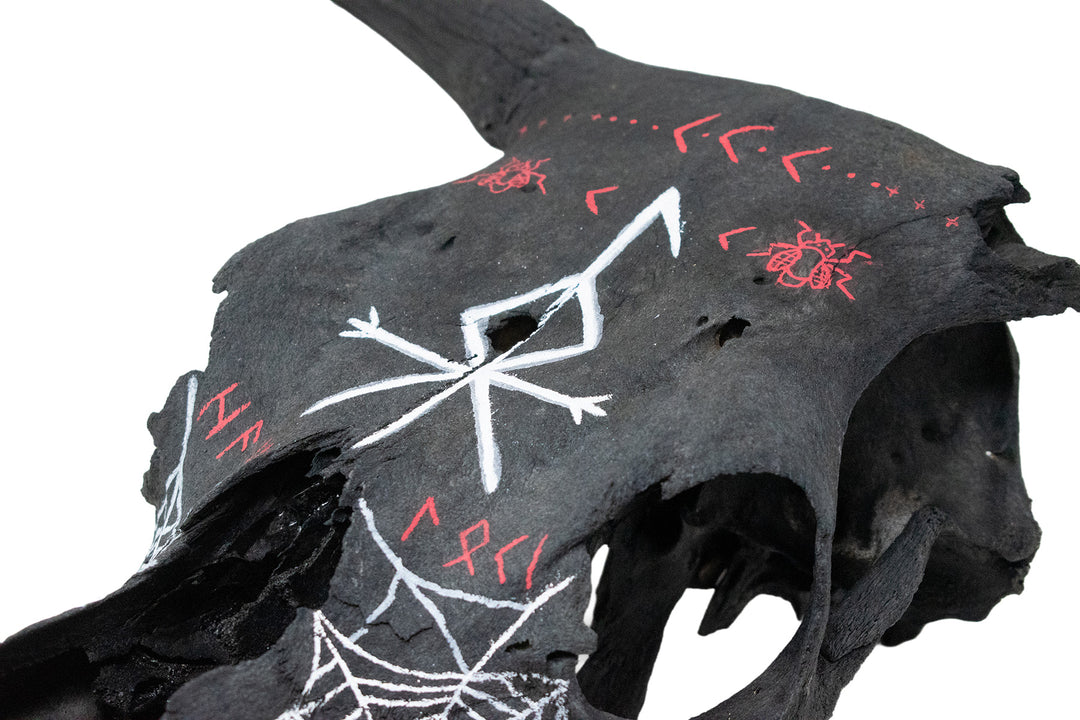 loki bindrune blackened cow skull