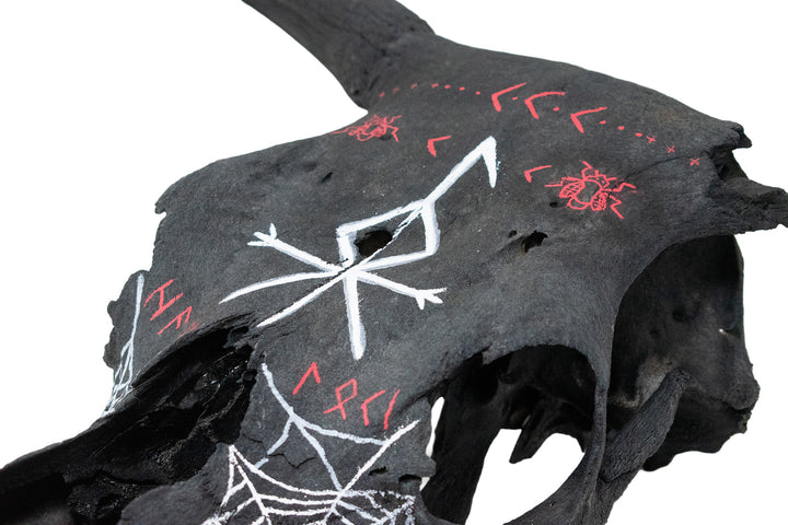 loki bindrune blackened cow skull
