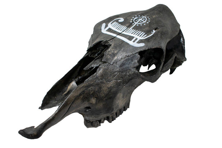 blackend cow skull with viking ship petroglyph