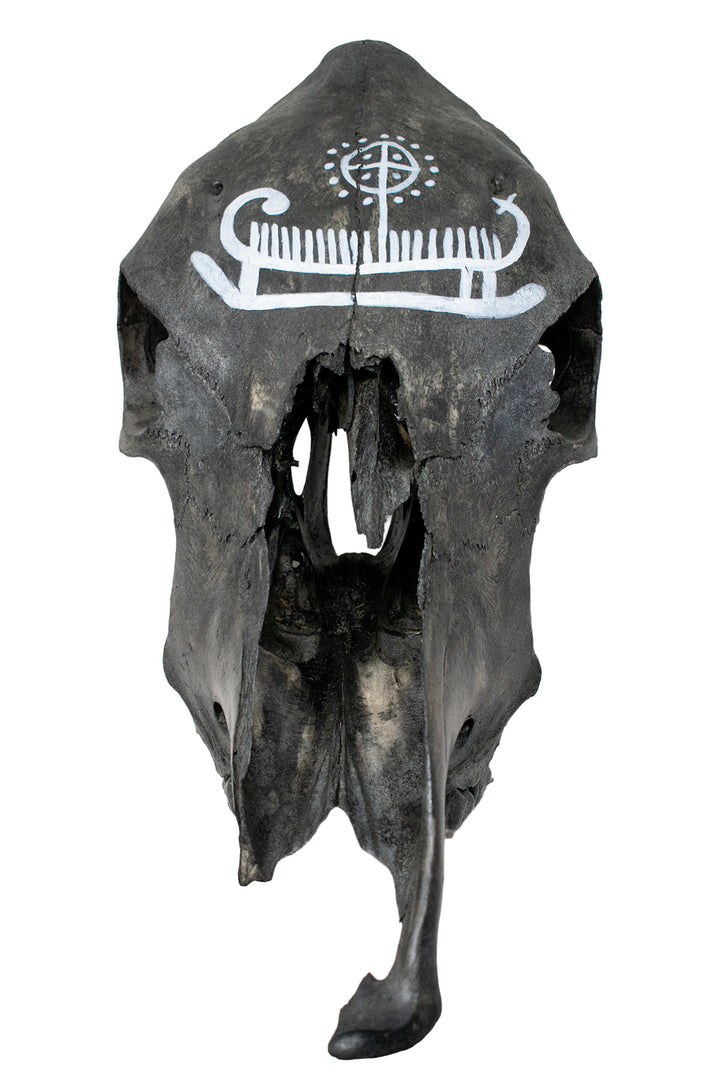 blackend cow skull with viking ship petroglyph