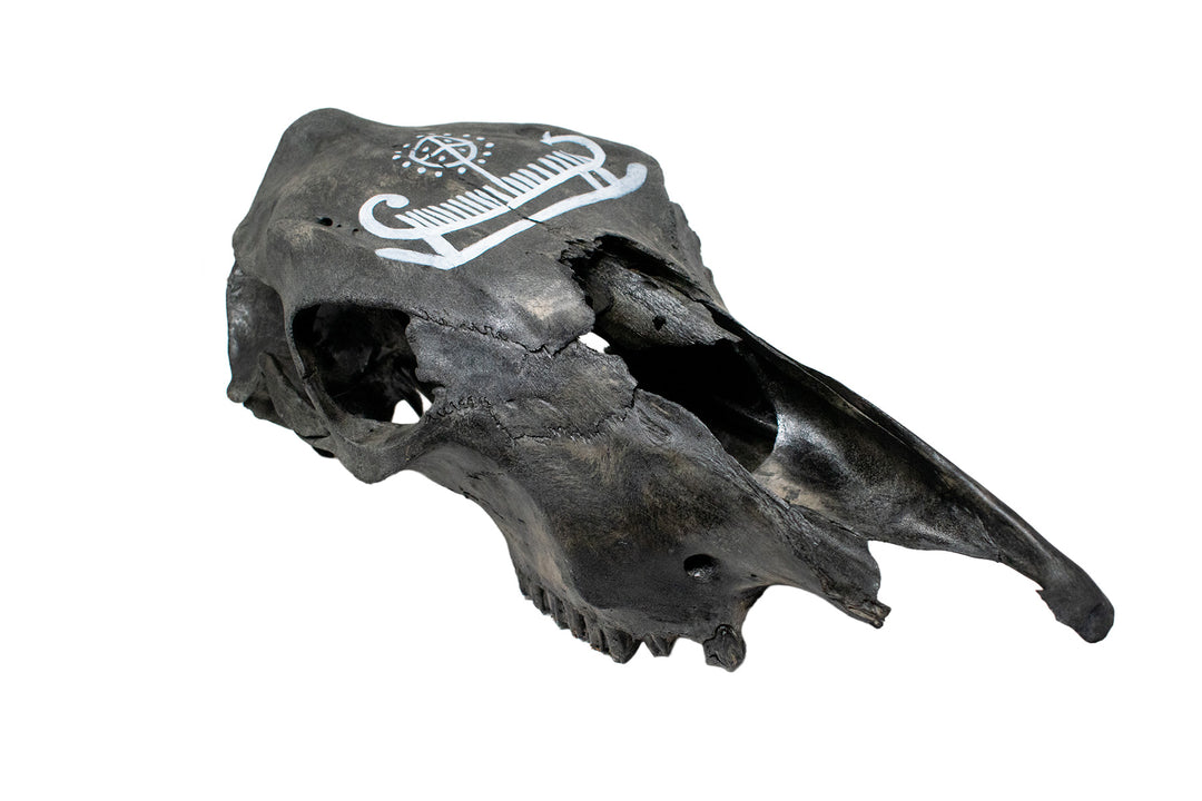blackend cow skull with viking ship petroglyph