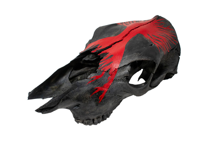 yggdrasil blackened cow skull