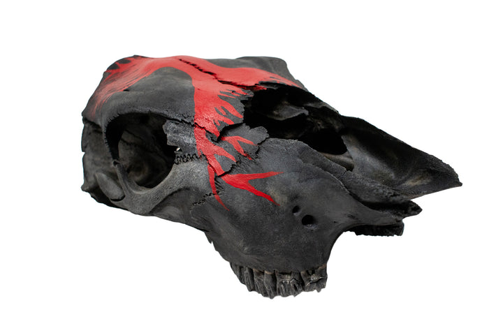 yggdrasil blackened cow skull