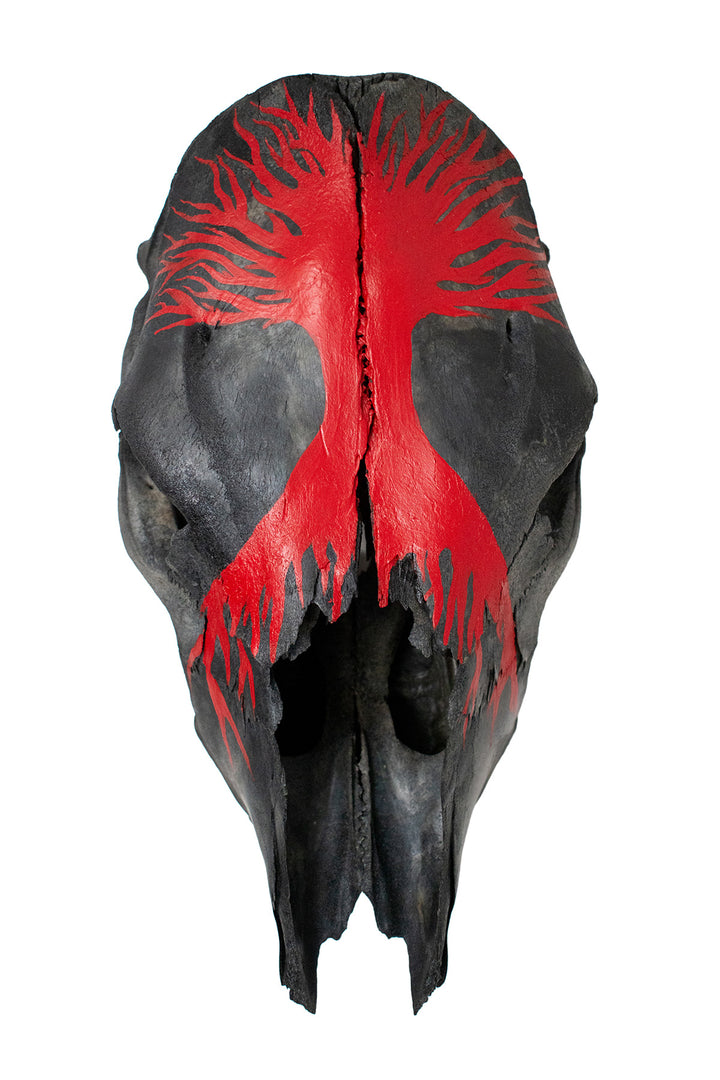 yggdrasil blackened cow skull
