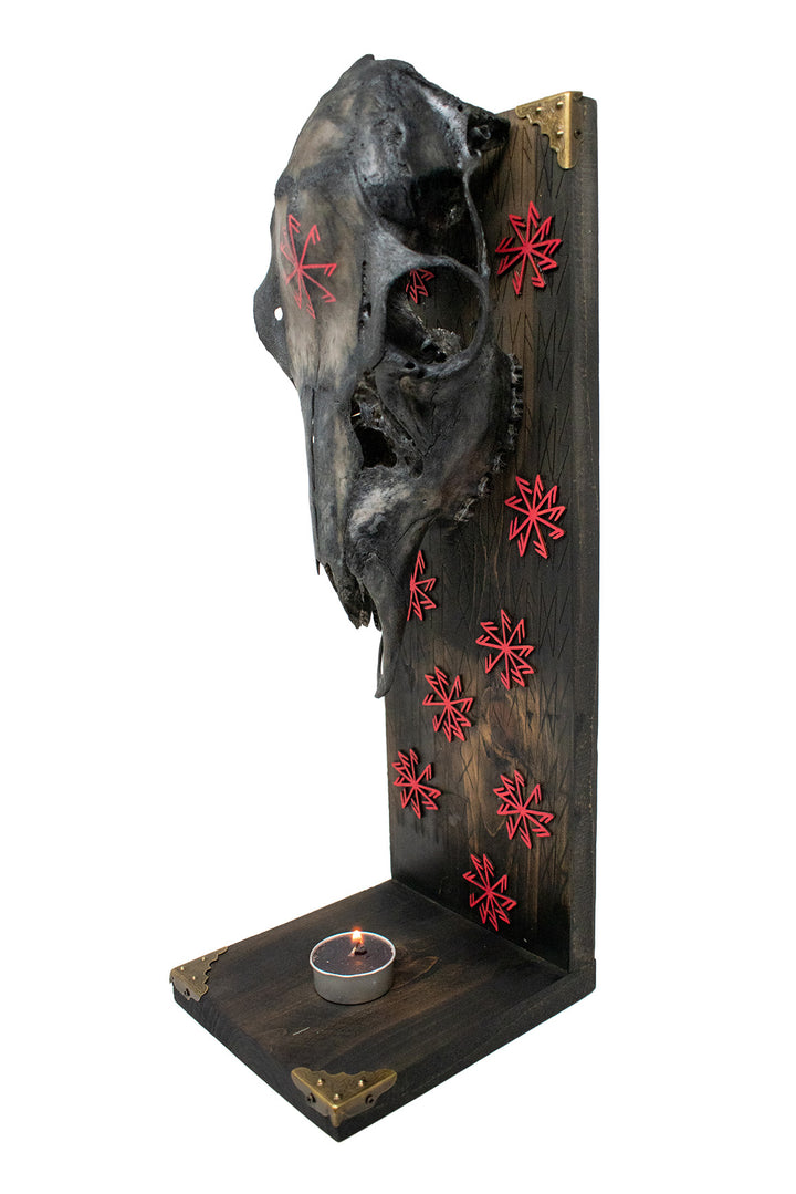 connection to the gods deer skull altar
