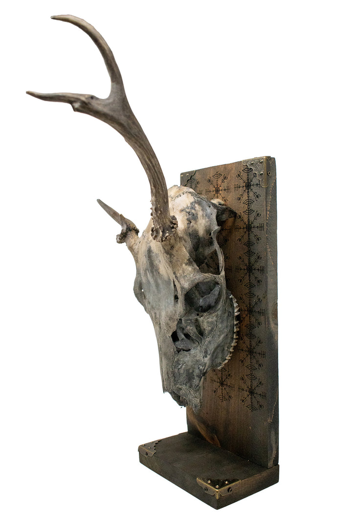 veldismagn blackened deer skull altar