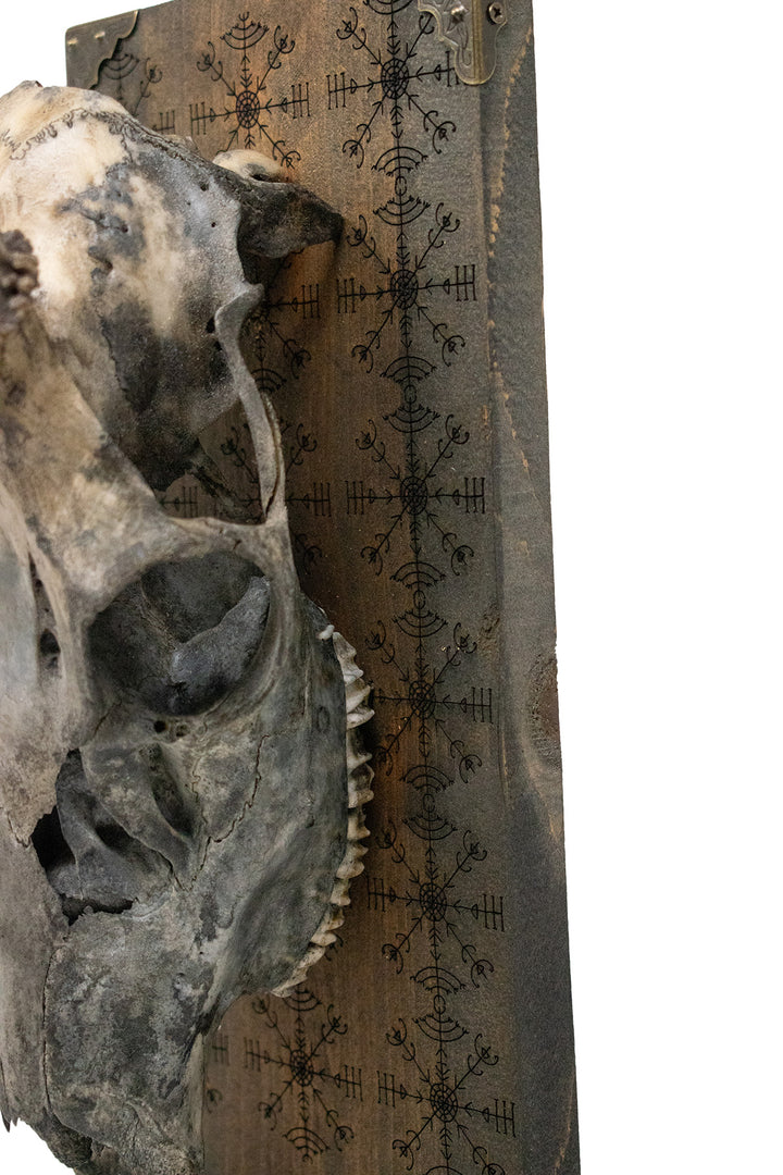 veldismagn blackened deer skull altar