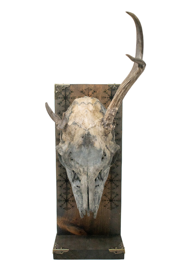 veldismagn blackened deer skull altar