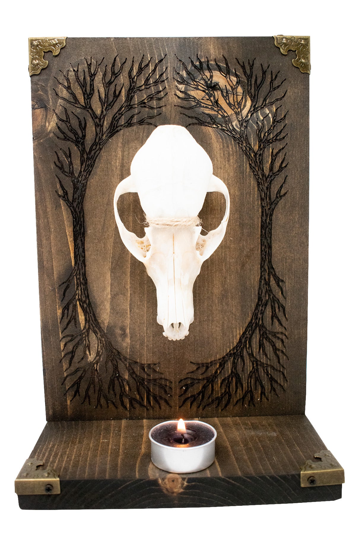 Yggdrasil Coyote Skull Altar