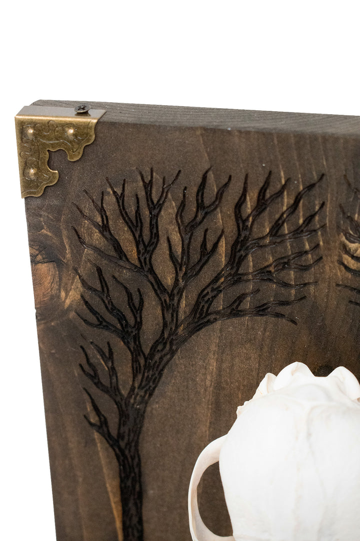 Yggdrasil Coyote Skull Altar