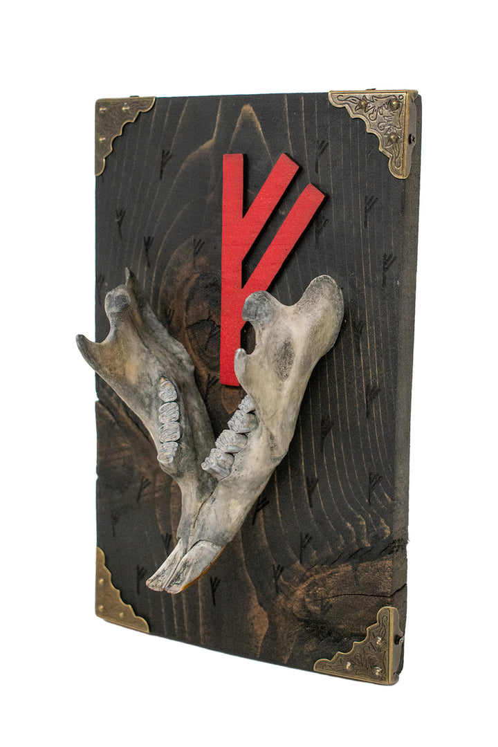 beaver jawbone fehu prosperity wall hanger
