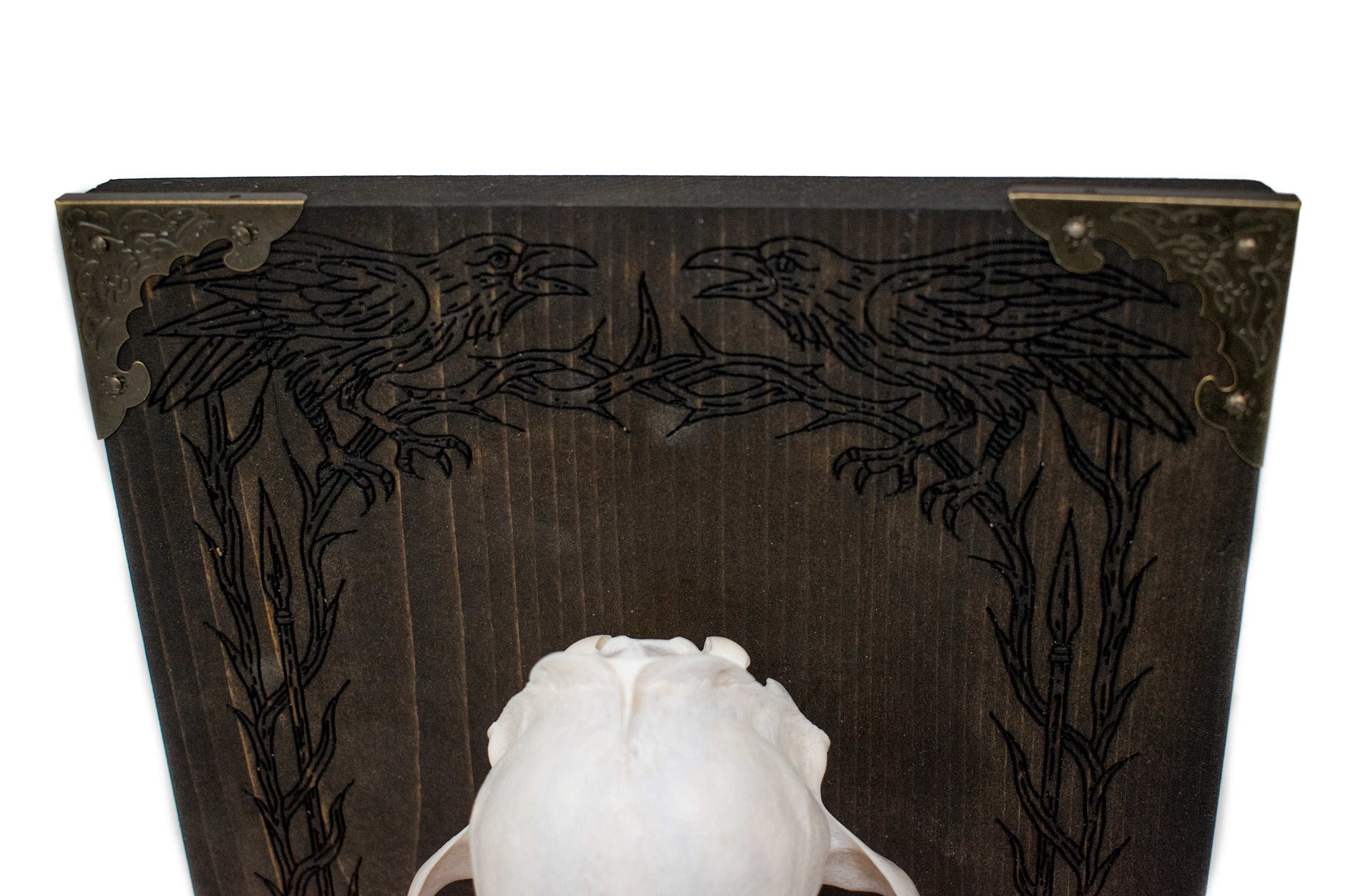 Odin’s Ravens Bobcat Skull Altar with Mjolnir Engraving