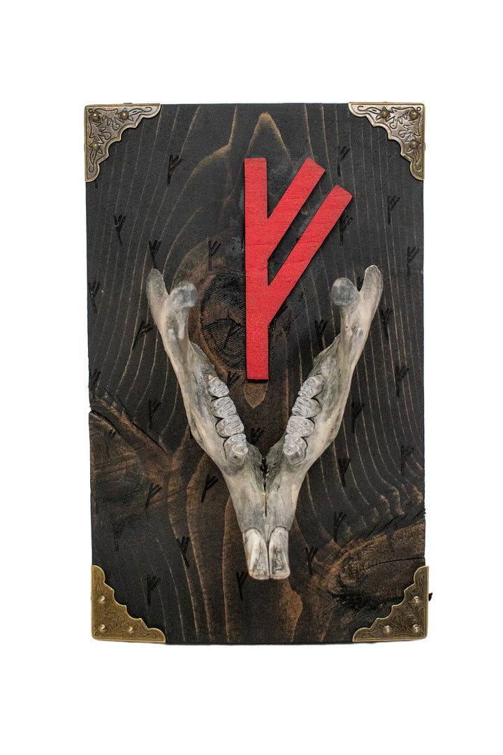 beaver jawbone fehu prosperity wall hanger