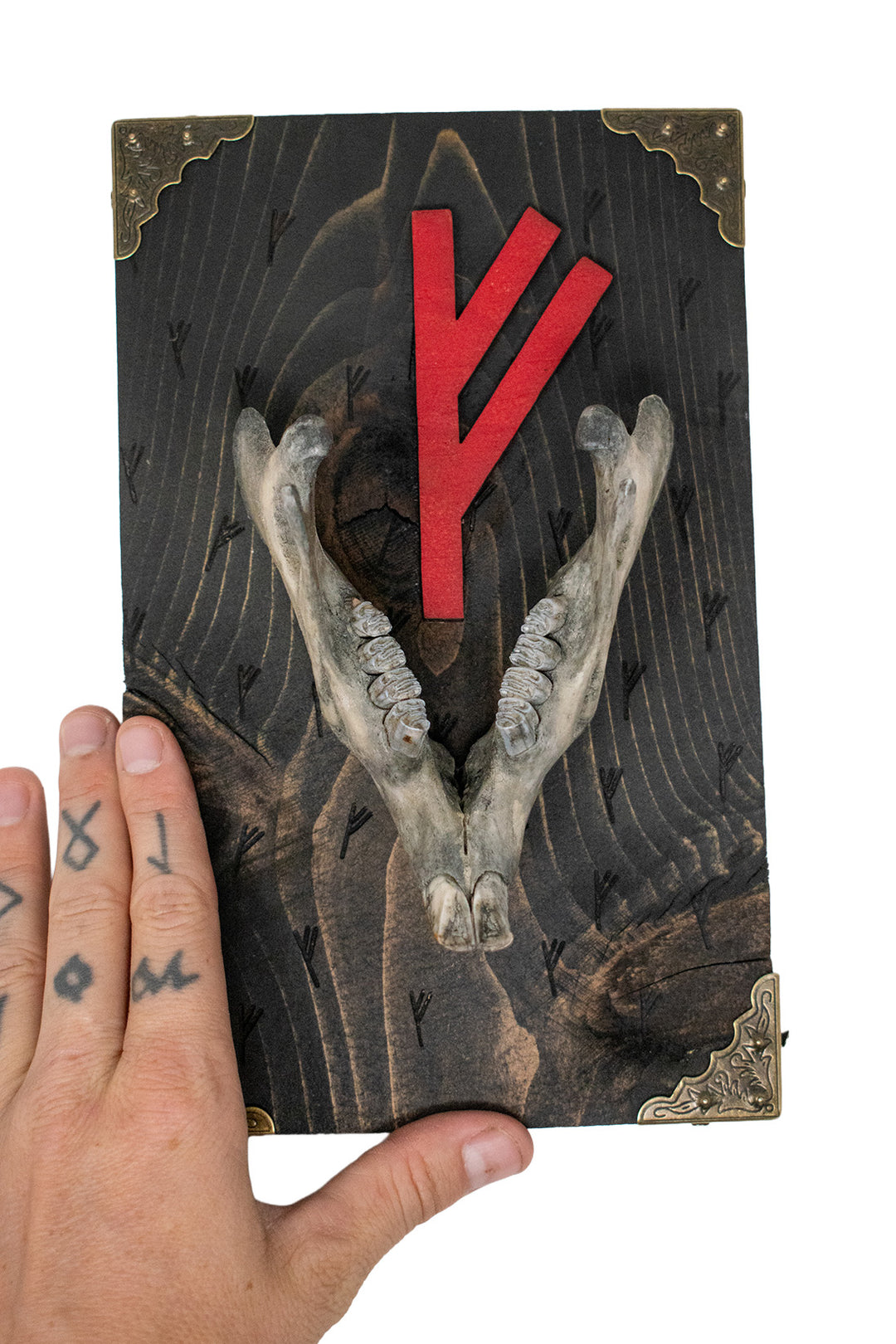 beaver jawbone fehu prosperity wall hanger
