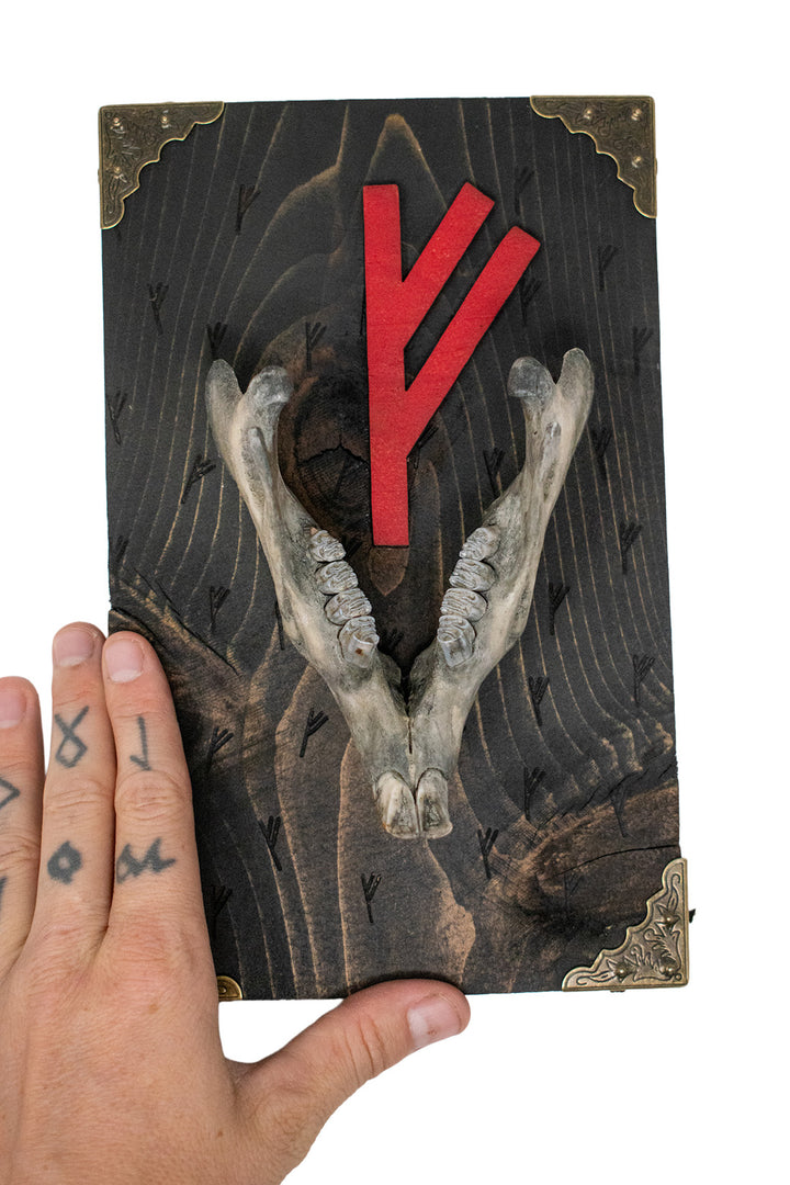 beaver jawbone fehu prosperity wall hanger