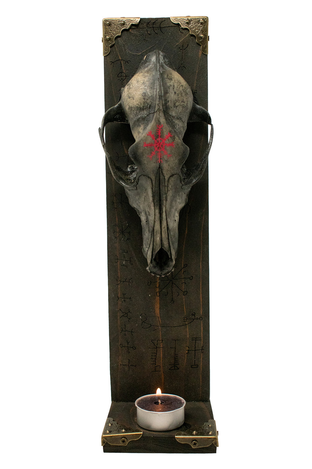 blackened coyote skull helm of awe altar