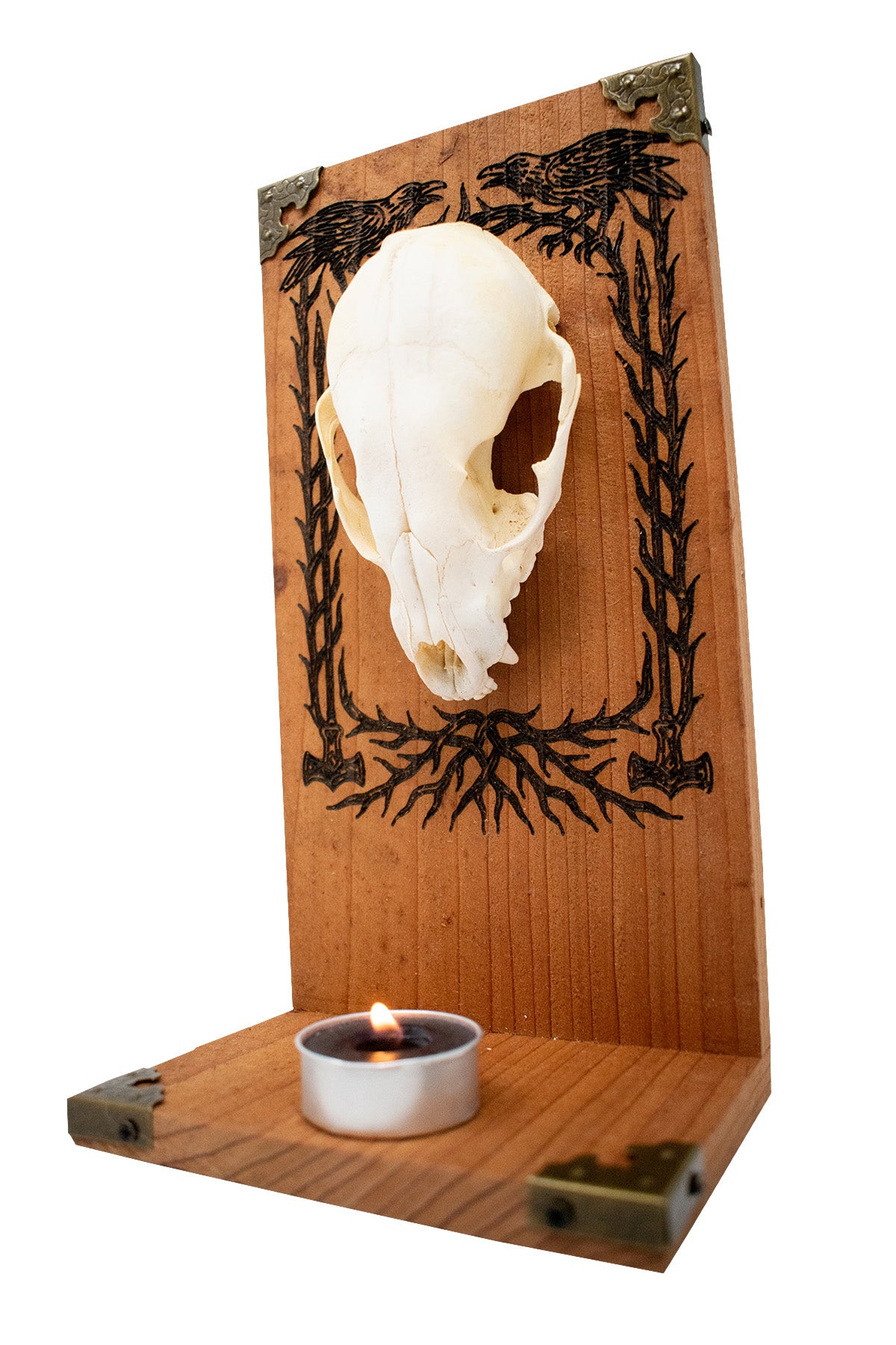 Odin's Ravens Raccoon Skull Altar
