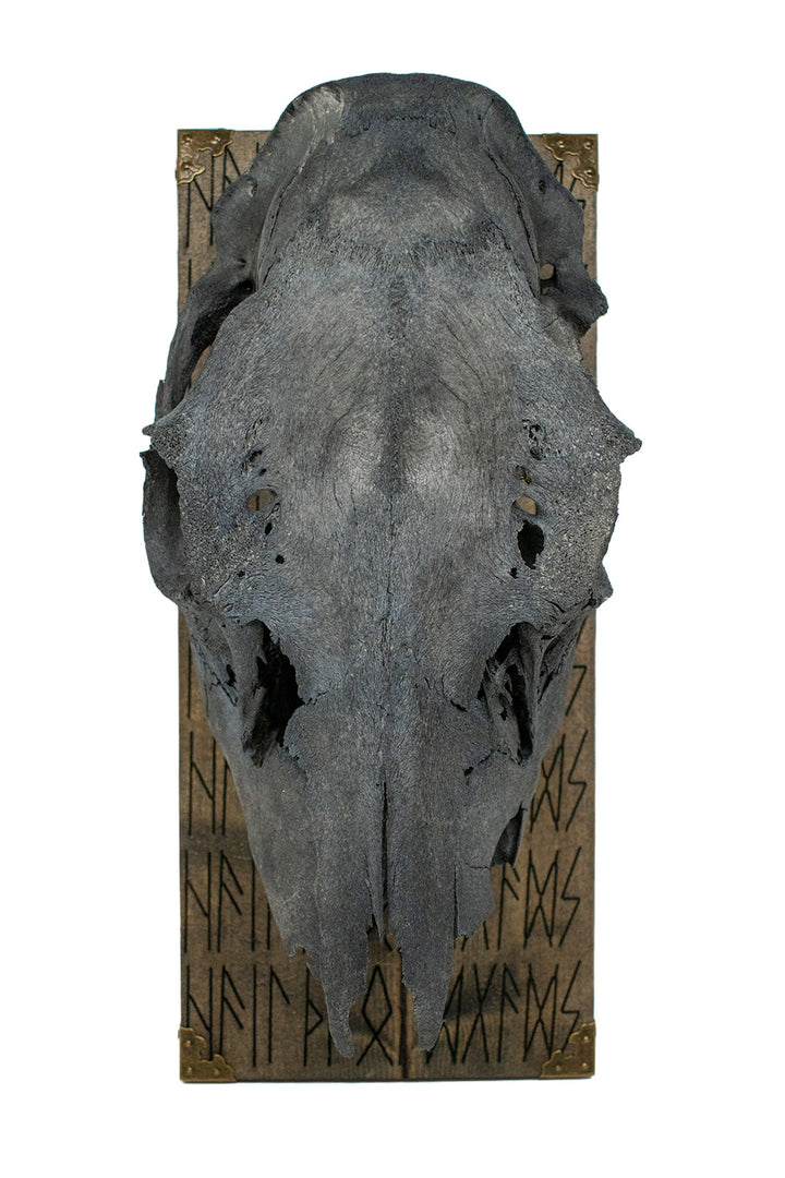 blackened elk skull hail the old gods wall hanger