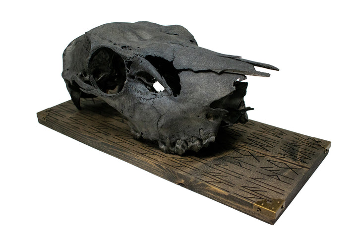 blackened elk skull hail the old gods wall hanger