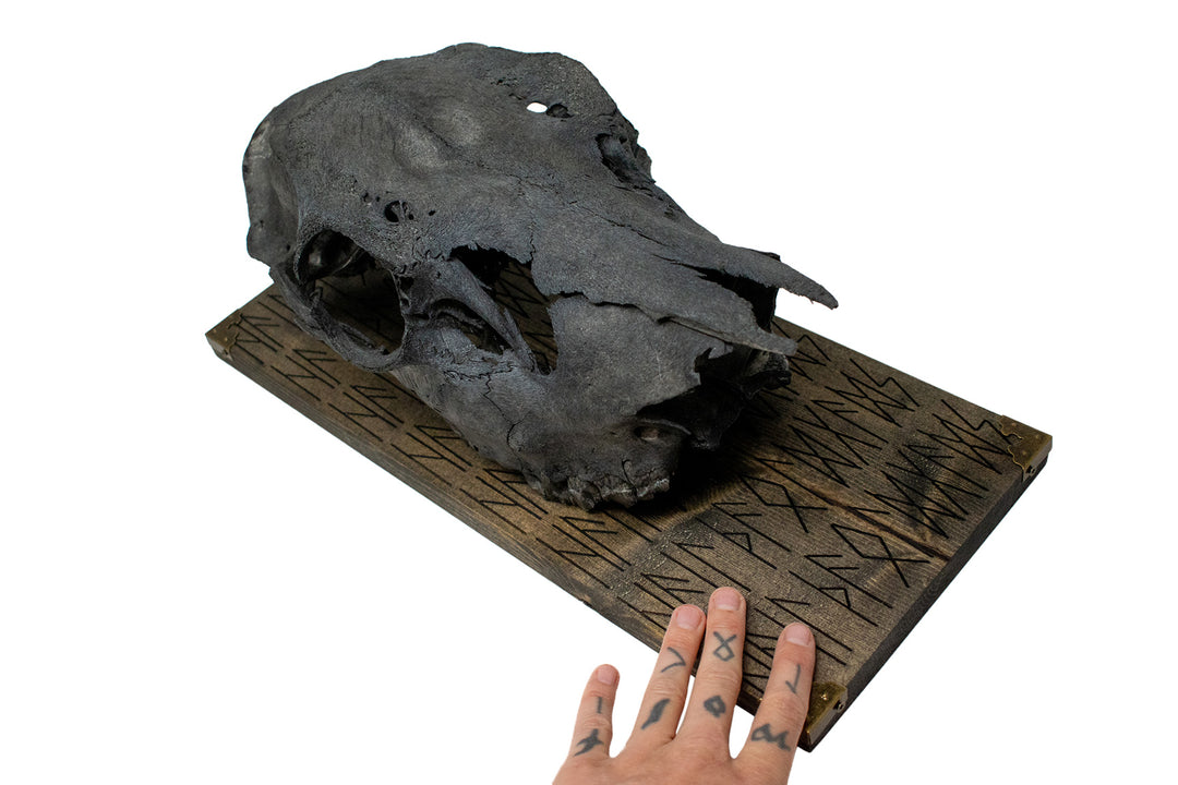 blackened elk skull hail the old gods wall hanger