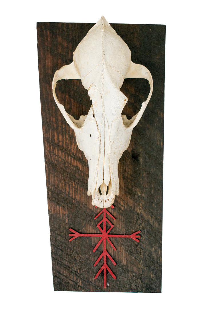home protection bindrune coyote skull wall hanger