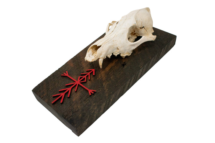 home protection bindrune coyote skull wall hanger