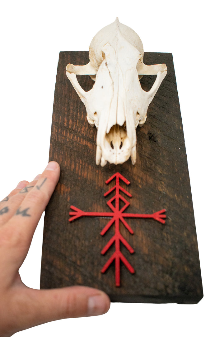 home protection bindrune coyote skull wall hanger