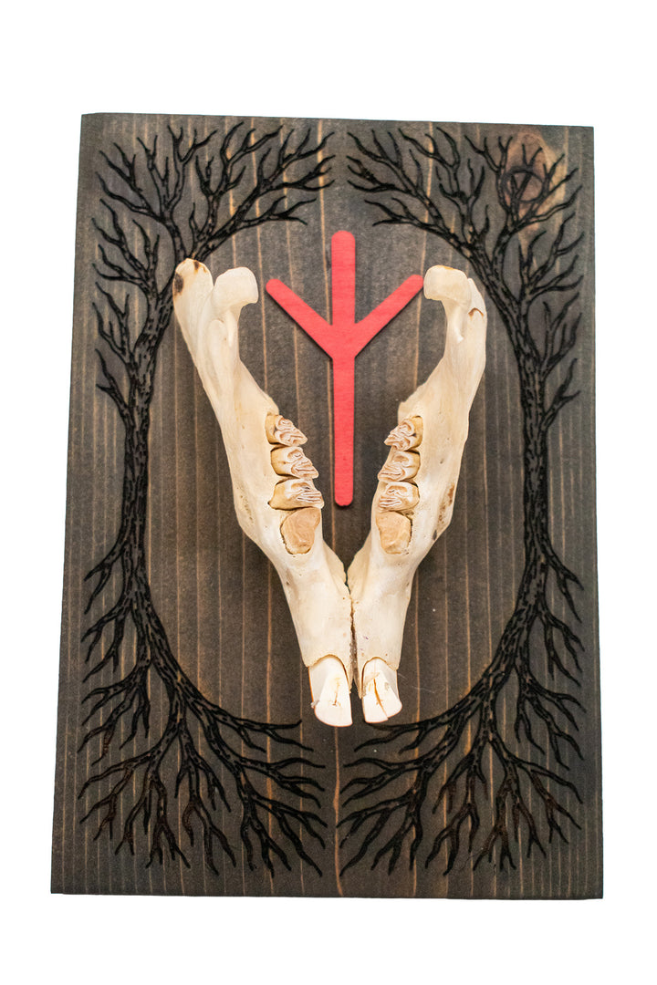beaver jawbone yggdrasil & algiz wall hanger