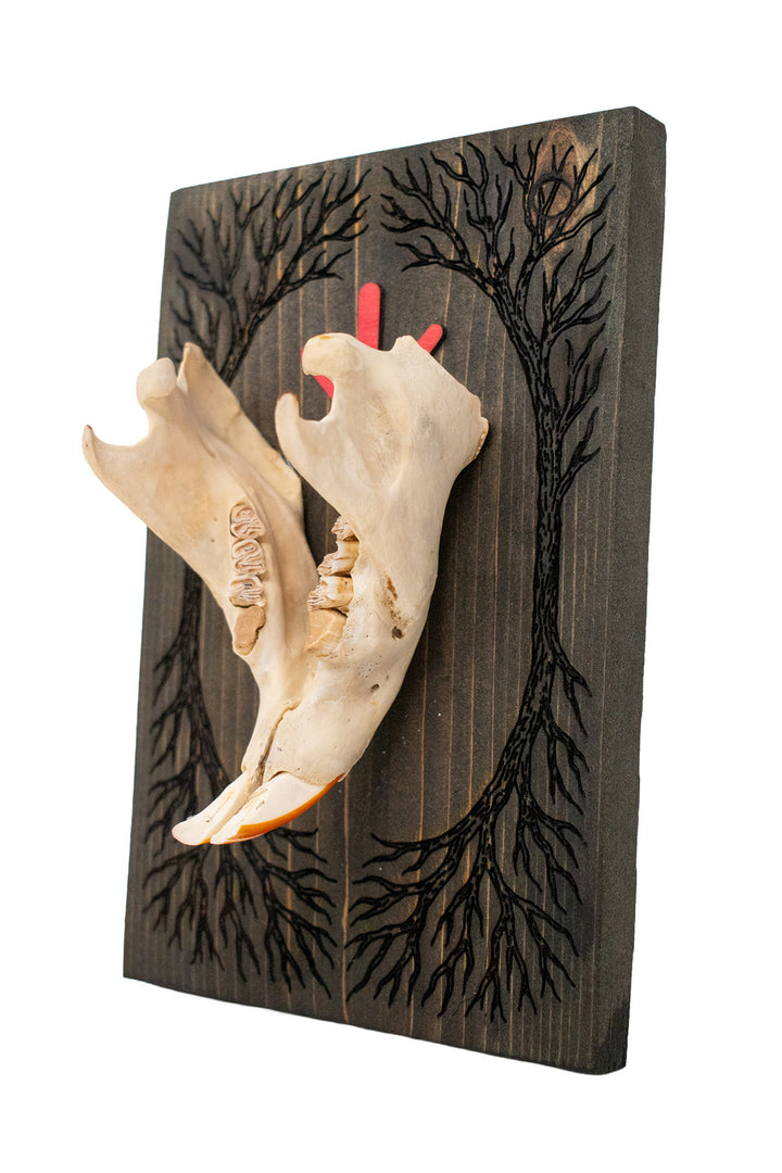 beaver jawbone yggdrasil & algiz wall hanger