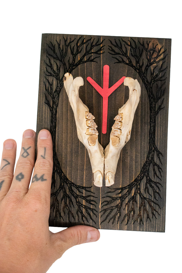 beaver jawbone yggdrasil & algiz wall hanger