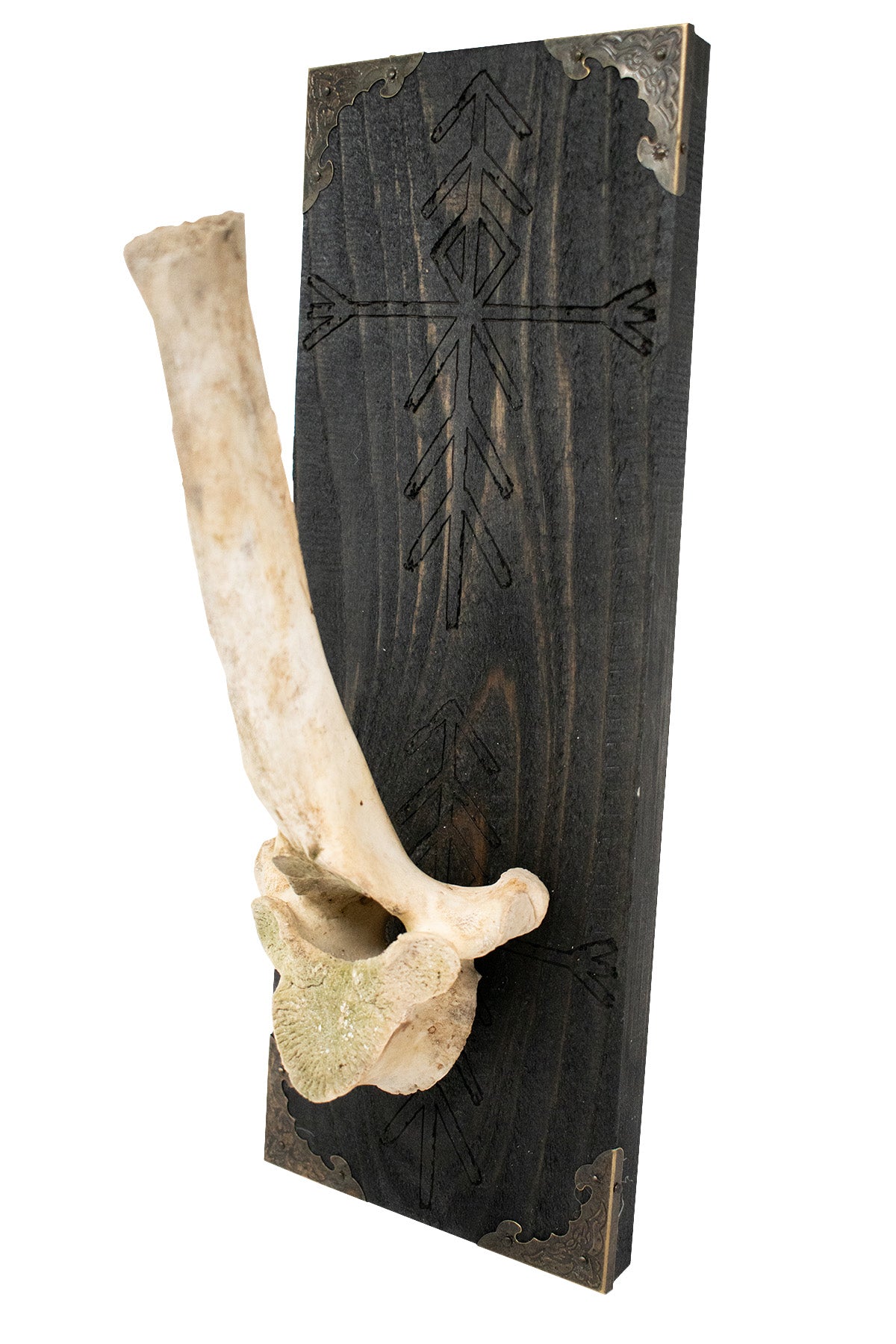 Home Protection Bindrune Elk Vertebra Wall Hanger