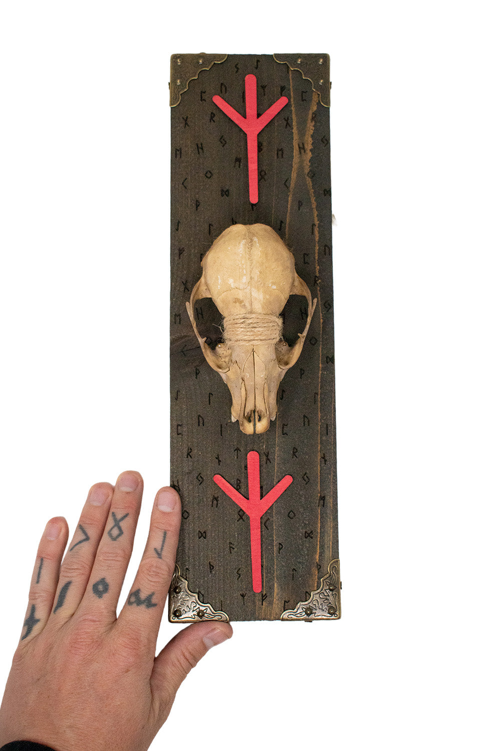 algiz raccoon skull wall hanger