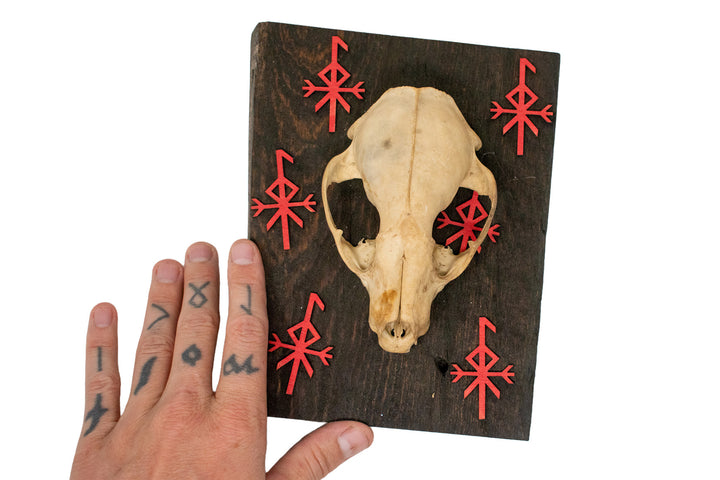 loki bindrune raccoon skull wall hanger
