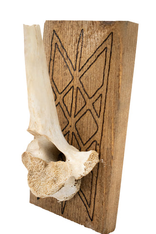 Image of Web of Wyrd Elk Vertebra Wall Hanger