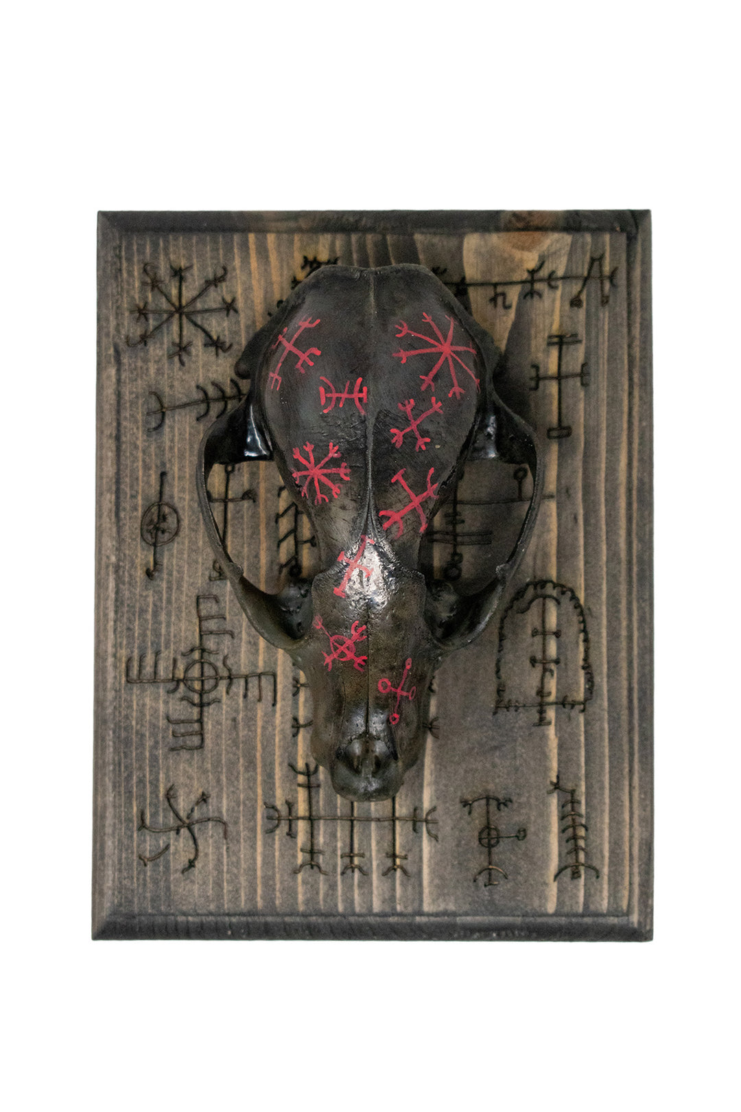 icelandic magical stave raccoon skull wall hanger