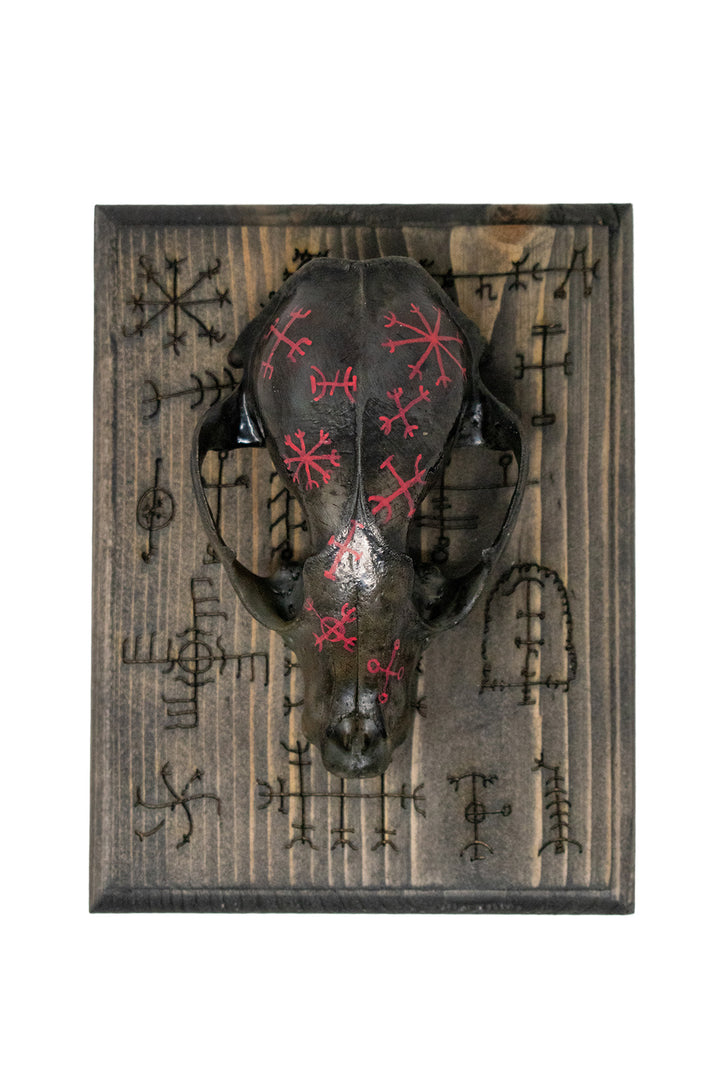 icelandic magical stave raccoon skull wall hanger